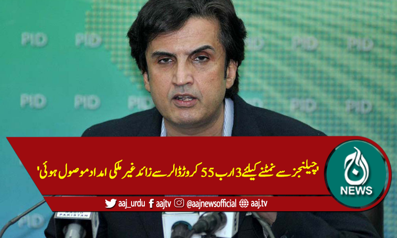 'چیلنجزسے نمٹنے کیلئے 3ارب 55 کروڑ ڈالرز سےزائد امداد موصول ہوئی'