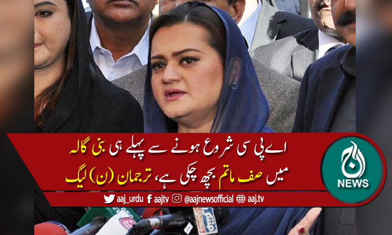 شیر کے ٹوئٹر پر گرجنے سے سلیکٹڈ حکومت تھر تھر کانپ رہی ہے،مریم اورنگزیب