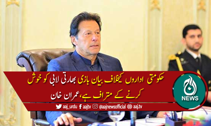 ملک کےتمام ادارے اپنی آئینی حدود میں رہ کرکام کررہےہیں، وزیراعظم