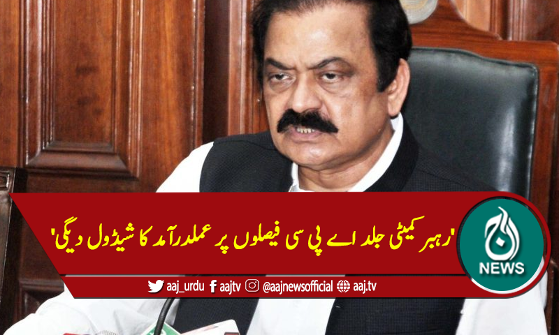 'رہبرکمیٹی جلد اے پی سی فیصلوں پر عملدرآمد کا شیڈول دیگی'