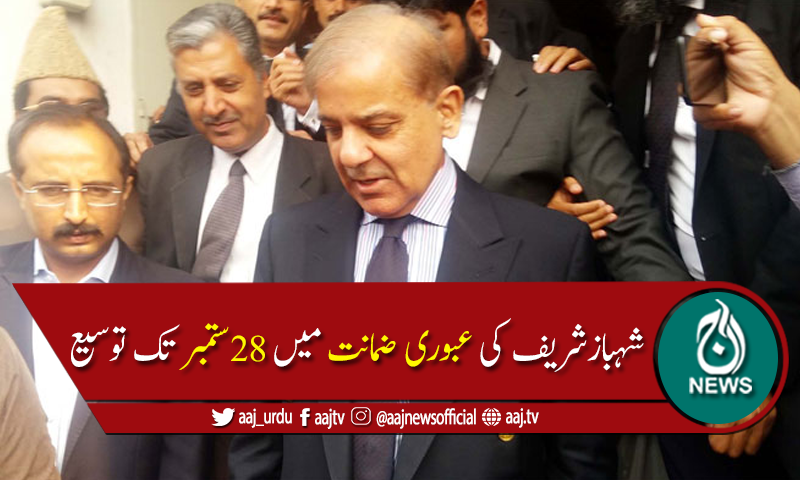 منی لانڈرنگ کیس:شہباز شریف کی عبوری ضمانت میں 28ستمبر تک توسیع