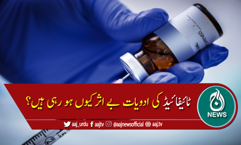 پنجاب میں ٹائیفائیڈ کی ادویات بے اثر کیوں ہو رہی ہیں؟