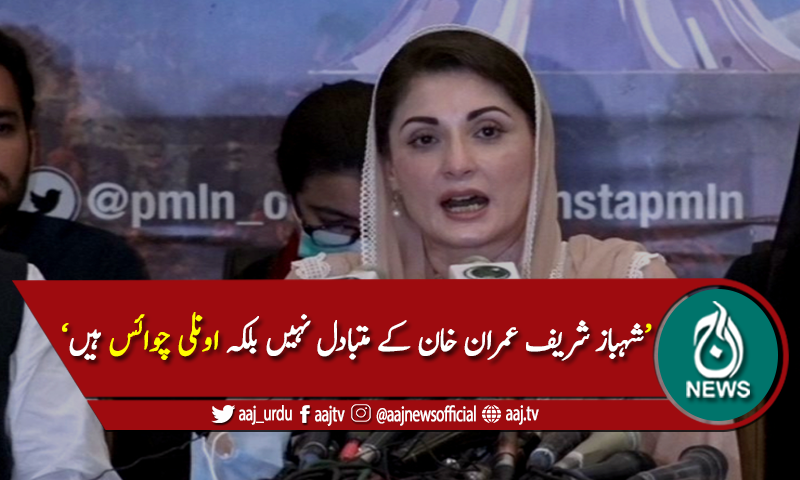 ن میں سے ش نکالنے والوں کی اپنی چیخیں نکل گئیں، مریم نواز