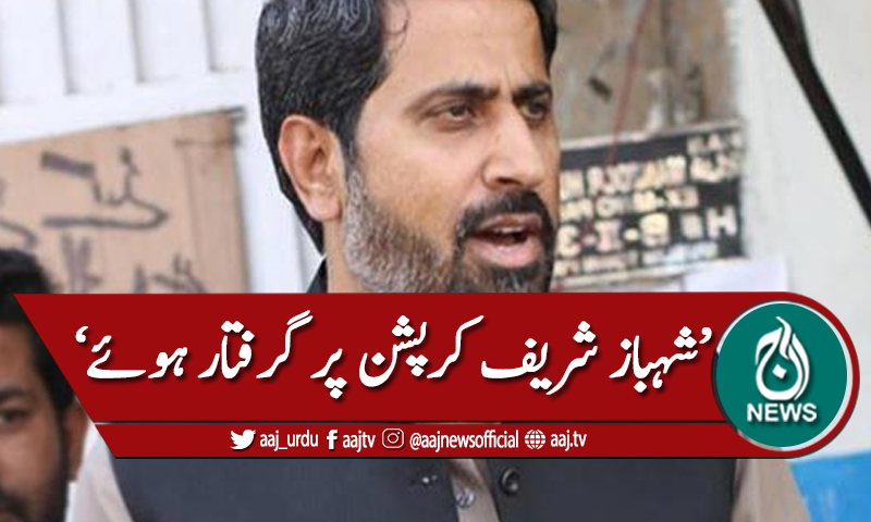 شہباز شریف کو کرپشن پر گرفتار کیا گیا، فیاض الحسن چوہان