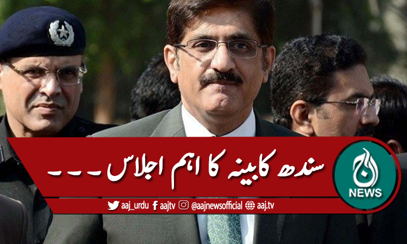 سندھ کابینہ کے اجلاس میں اہم فیصلے