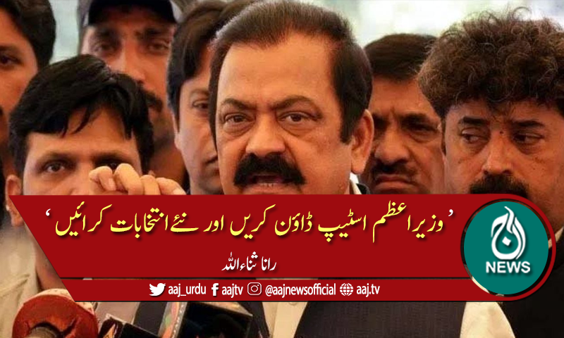 کسی ادارے سے ہمارا کوئی جھگڑا نہیں، رانا ثناءاللہ