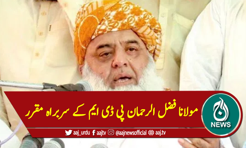 مولانا فضل الرحمان پی ڈی ایم کے سربراہ مقرر