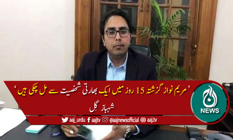 مریم نواز گزشتہ 15 روز میں بھارتی شخصیت سے مل چکی ہیں، شہباز گل کا دعویٰ