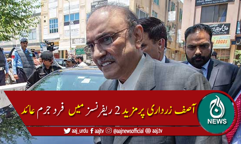 پارک لین اورٹھٹھہ واٹرسپلائی ریفرنس میں آصف زرداری پر فردجرم عائد
