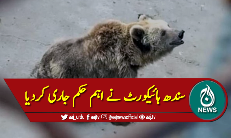'کراچی چڑیا گھر میں جانوروں کی حالت تشویشناک اور قابل رحم ہے'