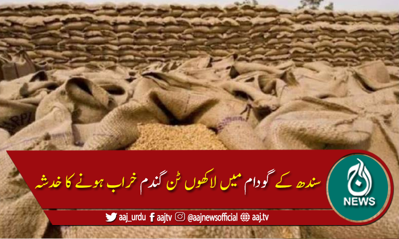 سندھ کے گودام میں 12 لاکھ میٹرک ٹن گندم خراب ہونے کا خدشہ