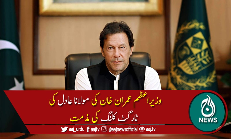 مولانا عادل کی ٹارگٹ کلنگ میں بھارت ملوث ہے، وزیراعظم