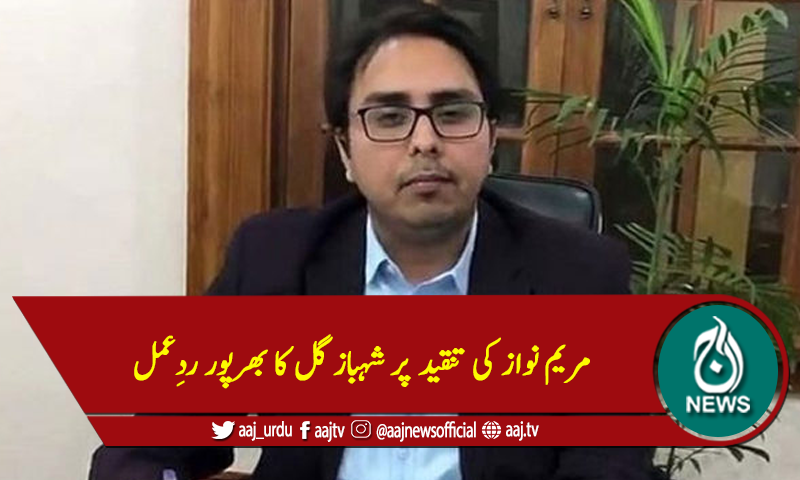 مریم نواز کی تنقید پر شہباز گل کا بھرپور ردِعمل