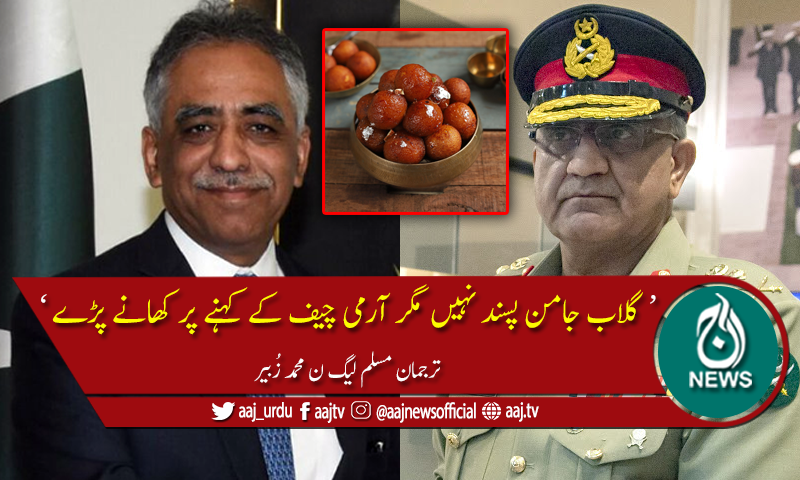 آرمی چیف سے ملاقات میں گلاب جامنوں کا یہ ماجرا کیا ہے؟ جانئے۔۔۔