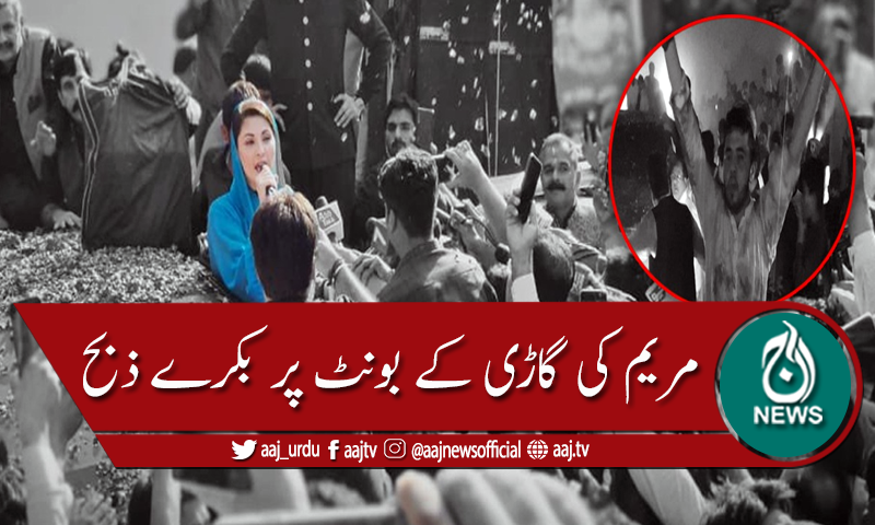 ن لیگی کارکن نے مریم نواز کی گاڑی کے بونٹ پر بکرے ذبح کردئیے
