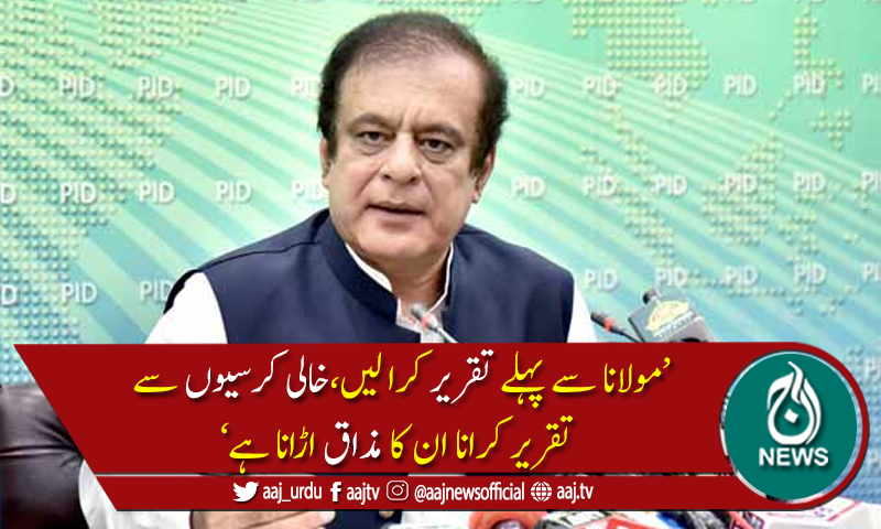 پی ڈی ایم صرف شو کر رہی ہے جس میں پاور نہیں، شبلی فراز
