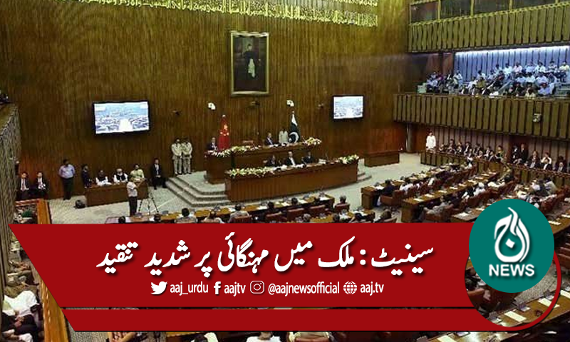 سینیٹ: ملک میں مہنگائی پر شدید تنقید