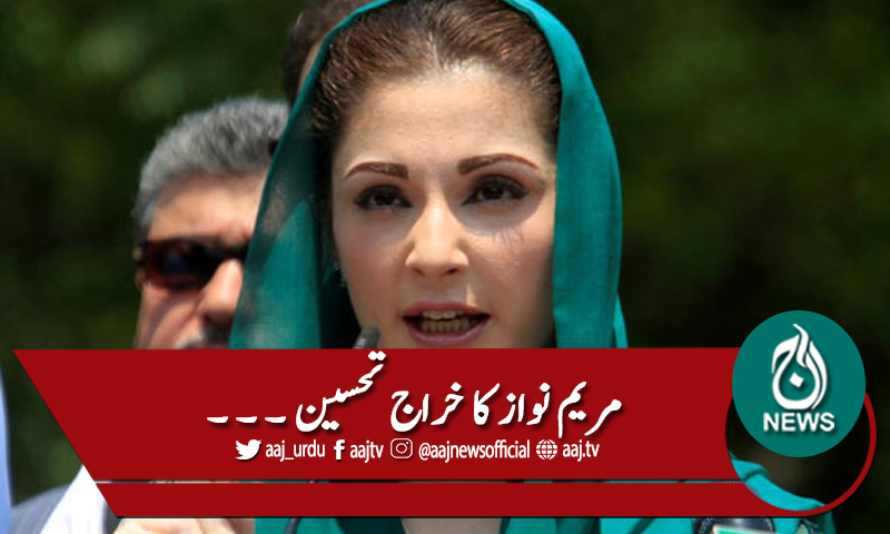 سندھ پولیس افسران کا چھٹیوں پر جانیکا فیصلہ، مریم کا خراج تحسین