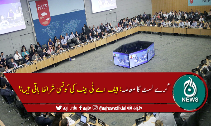 گرے لسٹ کا معاملہ: ایف اے ٹی ایف کی کتنی شرائط باقی پیں؟