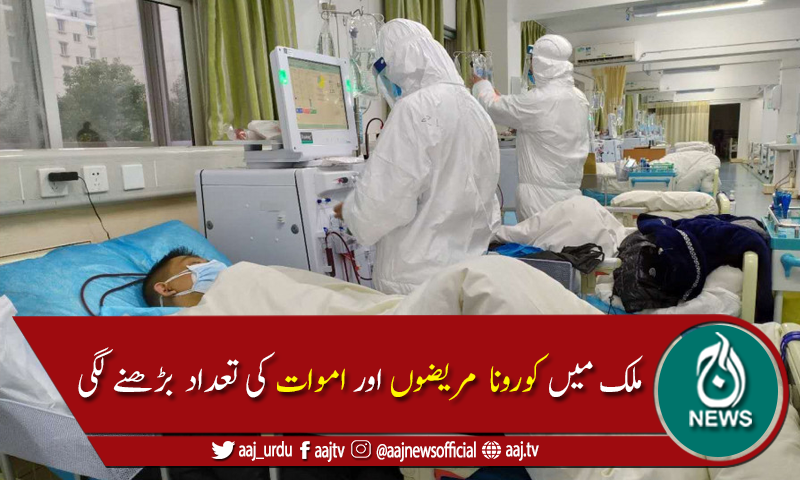 پاکستان میں کوروناوائرس سے مزید 03 ہلاکتیں، 707 نئے کیسز رپورٹ