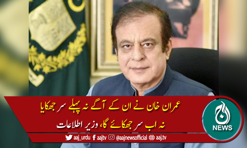 بعض سیاسی جماعتیں عوام کو قومی اداروں کیخلاف بھڑکانے کی غلطی کر رہی ہیں،شبلی فراز