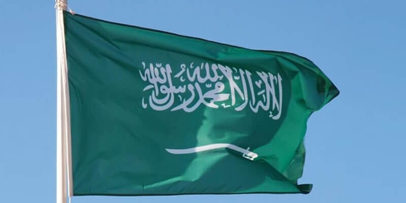 Saudi Arabia holds off from backing action against France over cartoons