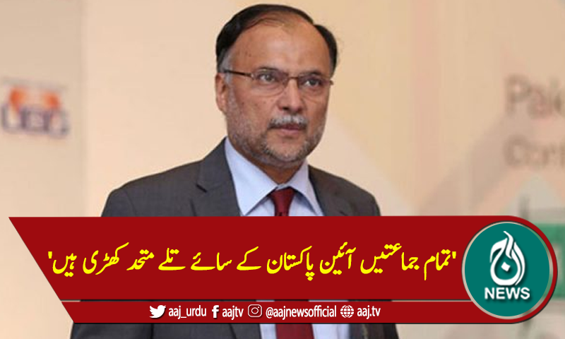 'تمام جماعتیں آئین پاکستان کے سائے تلے متحد کھڑی ہیں'