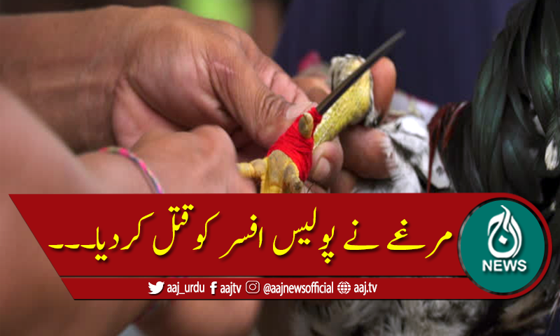 مرغے کے پنجے سے پولیس افسر ہلاک