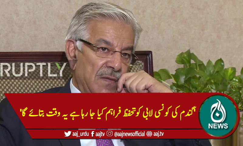 'گندم کی کونسی لابی کوتحفظ فراہم کیا جا رہا ہے یہ وقت بتائے گا'