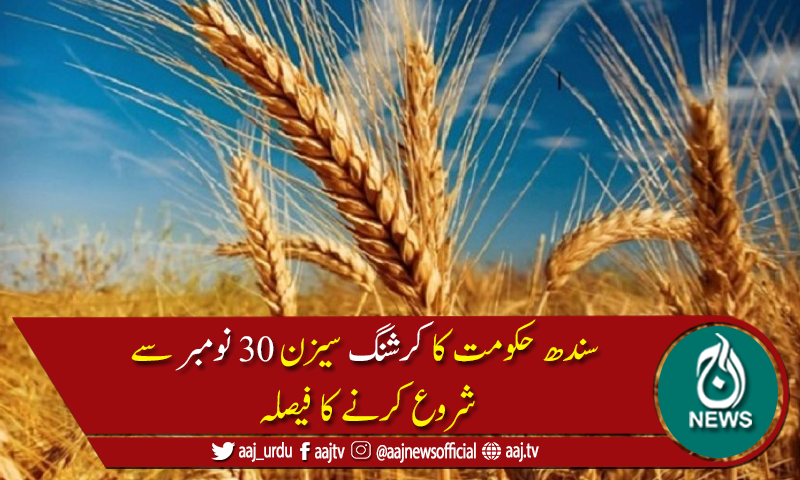سندھ میں گندم کی امدادی قیمت 2ہزار روپےفی من مقرر کرنے کی منظوری