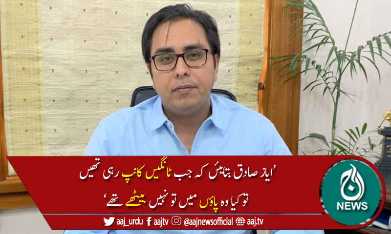 اپوزیشن سیاست کرےبغاوت نہ کرے،ریاست باغیوں سے نمٹناخوب جانتی ہے، شہباز گل