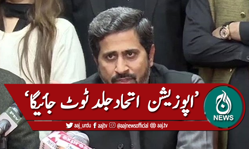 'اپوزیشن کا اتحاد دسمبر تک برقرار نہیں رہے گا'