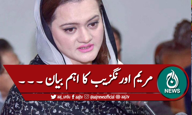 'نواز شریف سے دشمنی میں ملک داو پر لگادیا گیا'