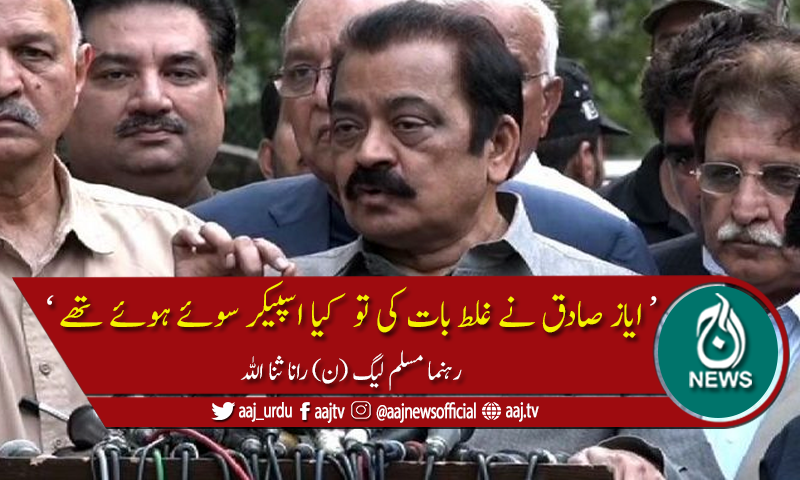 رانا ثنا اللہ نے اسپیکر قومی اسمبلی کی اہلیت پر سوال اٹھا دیا
