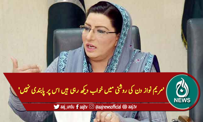 'مریم نواز دن کی روشنی میں خواب دیکھ رہی ہیں اس پر پابندی نہیں'