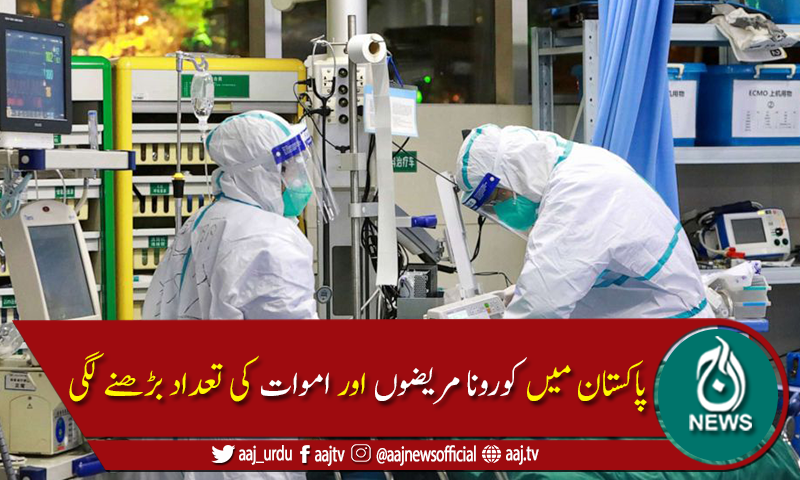 پاکستان میں کوروناوائرس سے مزید 30 ہلاکتیں، 1,376 نئے کیسز رپورٹ