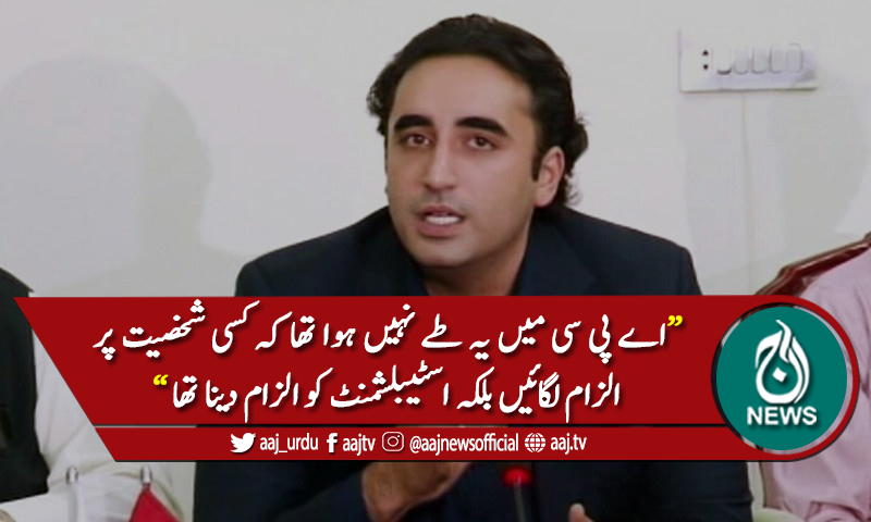 "اے پی سی میں یہ طے نہیں ہوا تھا کہ کسی شخصیت پر الزام لگائیں"