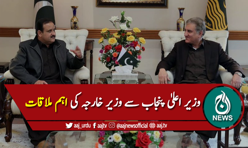 وزیر اعلیٰ پنجاب سے وزیر خارجہ شاہ محمود قریشی کی ملاقات