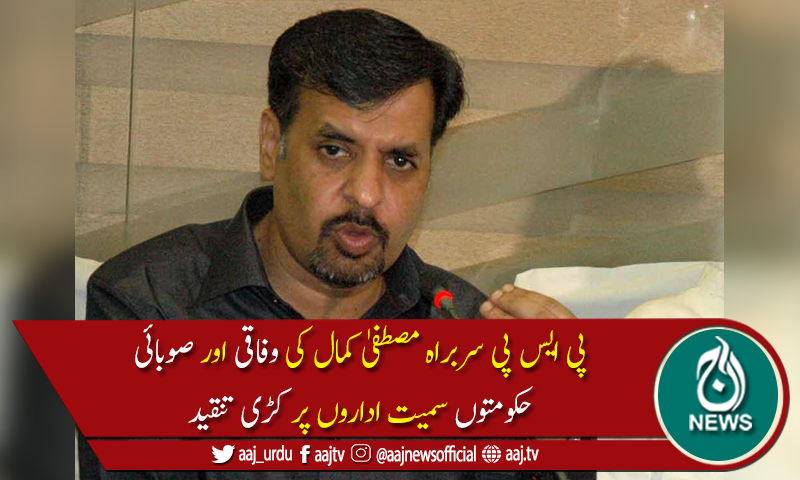 لگتا ہے عمران خان کو آج تک یقین ہی نہیں کہ وہ وزیراعظم بن چکےہیں، مصطفیٰ کمال