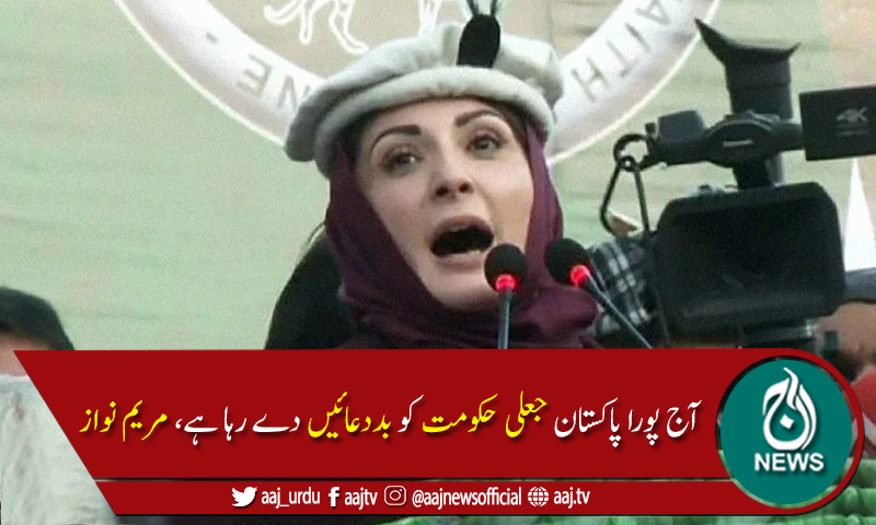 وزیراعظم جیسے آئے تھے ویسے ہی جائیں گے،مریم نواز