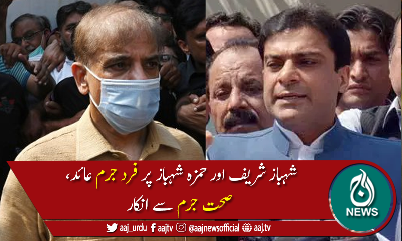 منی لانڈرنگ ریفرنس:شہباز شریف اور حمزہ شہباز سمیت دیگرپرفردجرم عائد