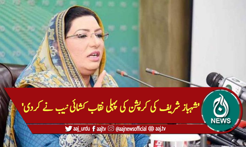 'شہباز شریف کی کرپشن کی پہلی نقاب کشائی نیب نے کردی'