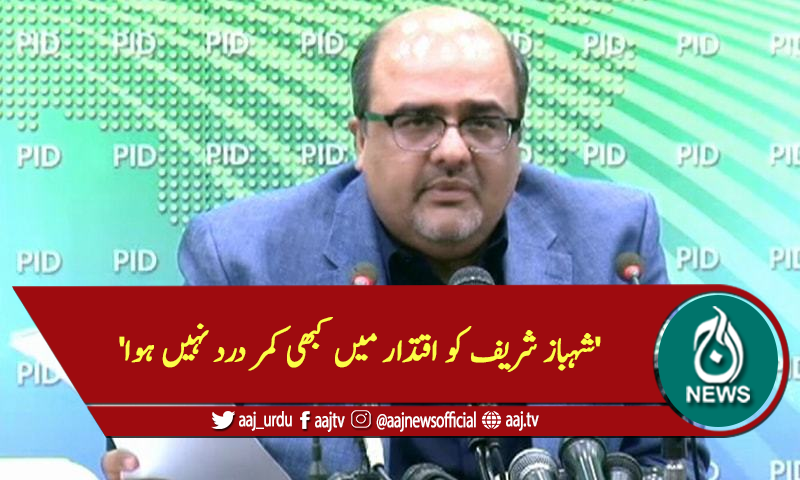 'شہباز شریف کو اقتدار میں کبھی کمر درد نہیں ہوا'