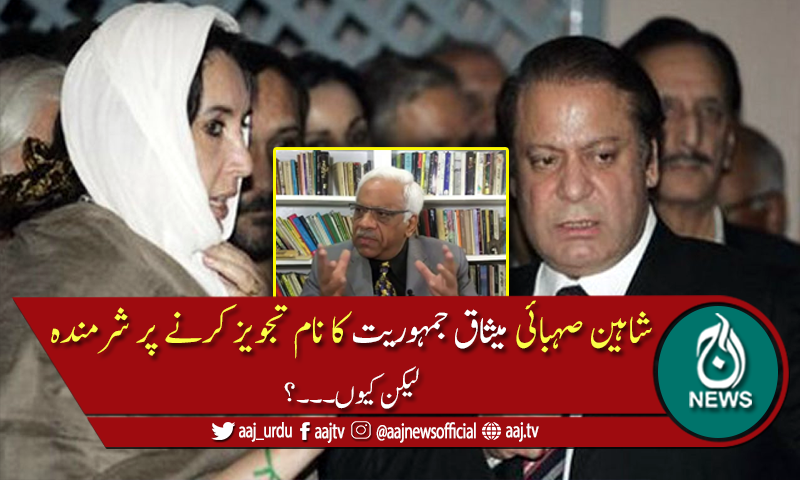 میں واقعی شرمندہ ہوں، شاہین صہبائی