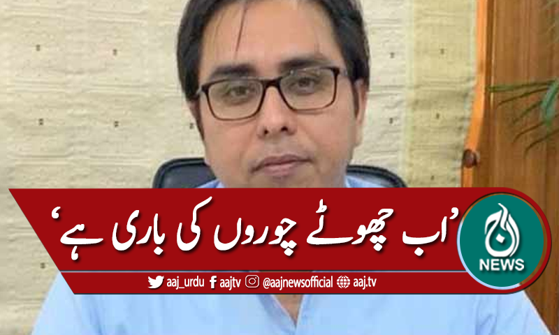 اب ملک میں چھوٹے چوروں کی باری ہے،شہباز گل