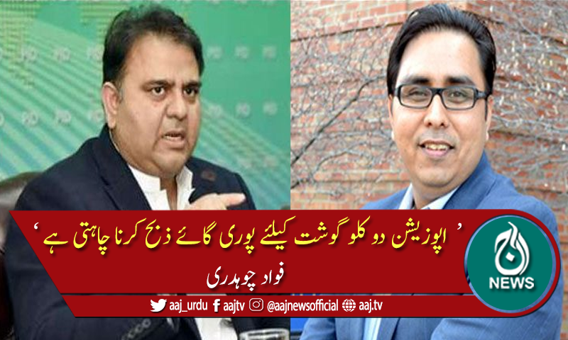 پشاور جلسے پر حکومتی وزرا کی کڑی تنقید