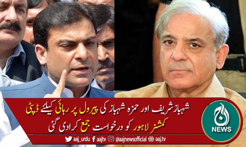 شہبازشریف اور حمزہ شہباز کی پیرول پر رہائی کیلئے درخواست جمع
