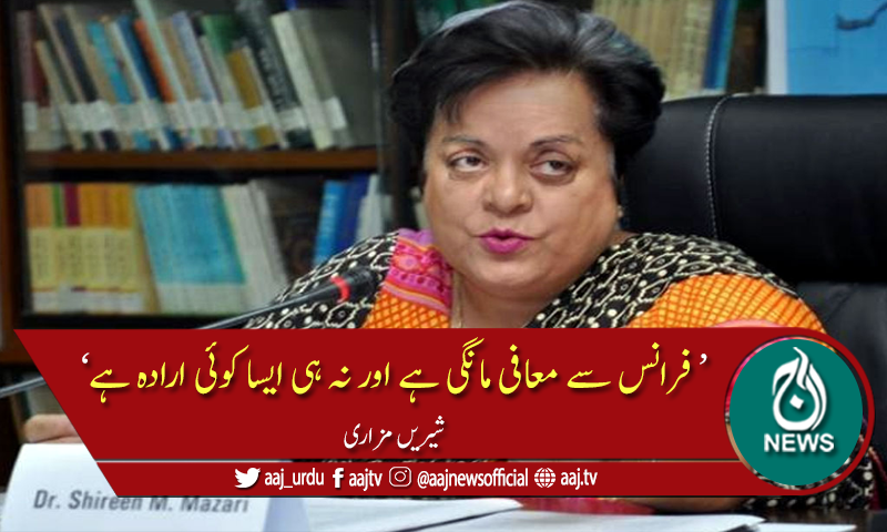 فرانس سے معافی نہیں مانگی، نہ مانگوں گی: شیریں مزاری