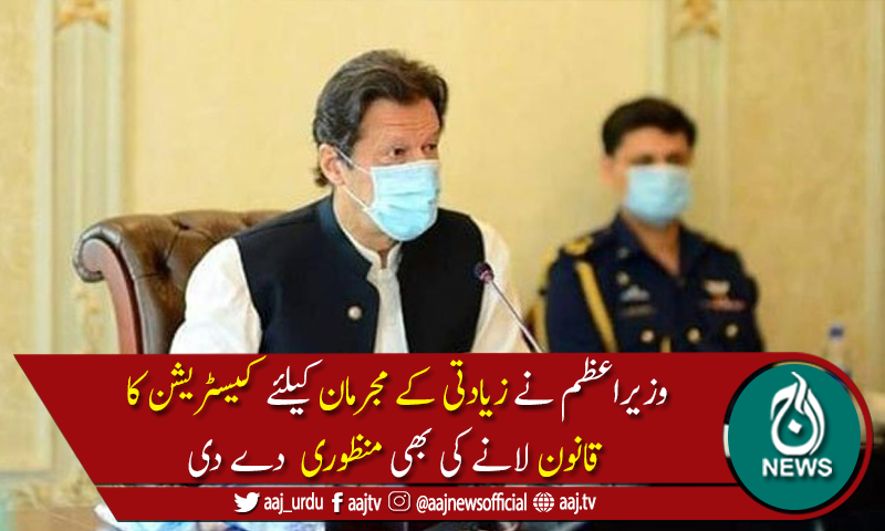 وفاقی کابینہ کی زیادتی کے مجرمان کی سخت سزاؤں پر مشتمل سفارشات کی اصولی منظوری