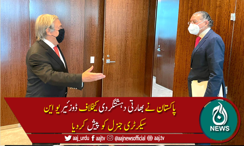 بھارت سی پیک کوسبوتاژکرنے کیلئے پاکستان میں دہشت گردی کرارہا ہے،منیر اکرم